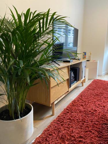 un salon avec une télévision et une plante en pot dans l'établissement La Palmeraie - Appartement classé 4 étoiles - Hyper centre ville, à Quimper