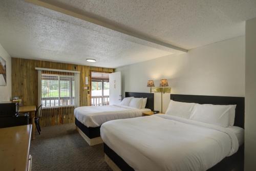 希爾城的住宿－Lantern Inn，酒店客房设有两张床和窗户。