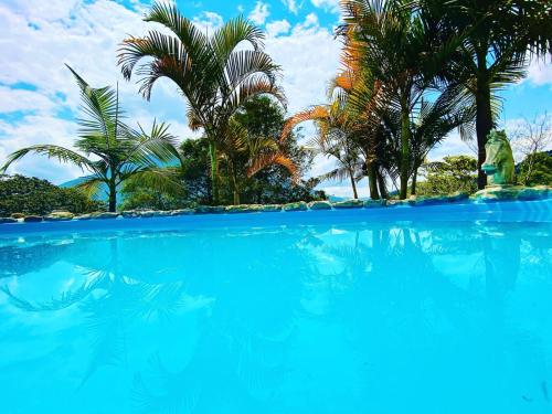 a large blue swimming pool with palm trees in the background at Cabañas Palma Sky Lodge in Oxapampa