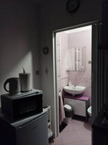 La salle de bains est pourvue de toilettes, d'un lavabo et d'un miroir. dans l'établissement Studio apartman"Mirjana", Podhum 368, à Podhum