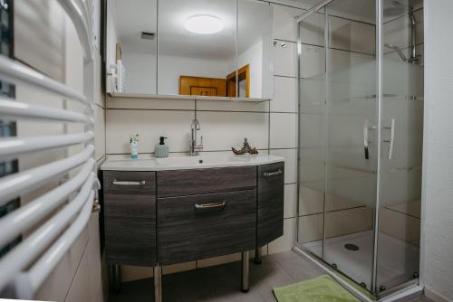 a bathroom with a sink and a shower at Kellerstöckl Rosalie in Rechnitz