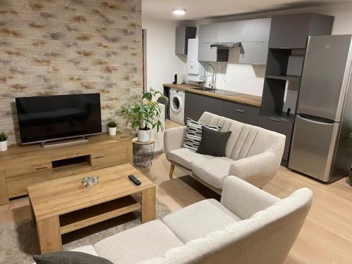 een woonkamer met 2 stoelen en een flatscreen-tv bij Garden House in Roudnice nad Labem