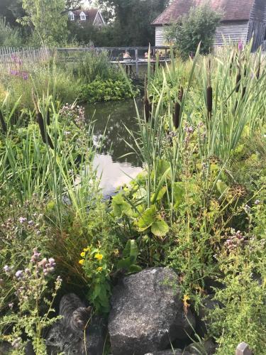 a garden with flowers and a pond at Weavers Rest in Biddenden
