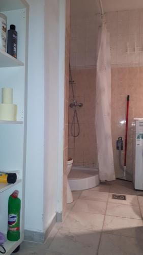 y baño con ducha y aseo. en Garibaldi Apartman, en Budapest