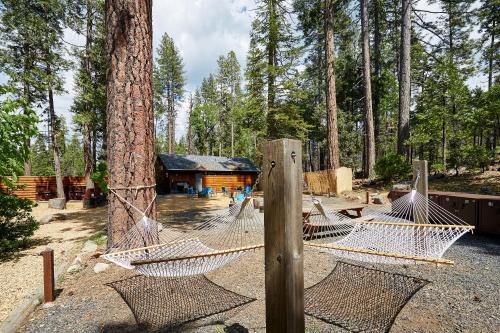 a couple of hammocks in front of a cabin at Evergreen Lodge at Yosemite in Groveland