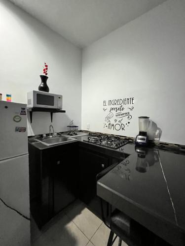 Mini casa llena de vida