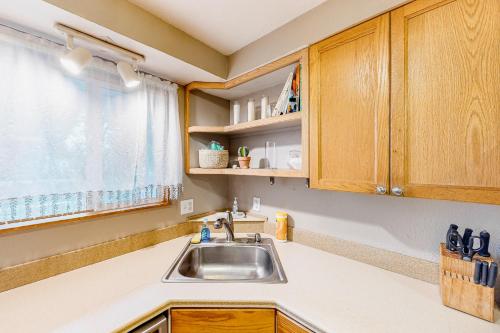 a kitchen with a sink and a window at Livin' the Dream in Springfield