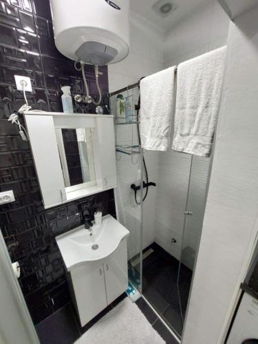 a small bathroom with a sink and a shower at Apartman Fortuna in Banja Luka
