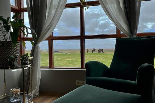 una sala de estar con una silla verde y una ventana en Eaglerock Guesthouse and tours, en Kirkjubæjarklaustur