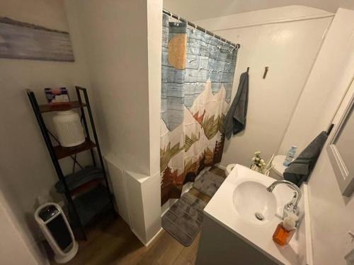 a small bathroom with a sink and a bathroom at Lovely Rural 1 Bedroom Apartment in St Mary’s in Saint Marys