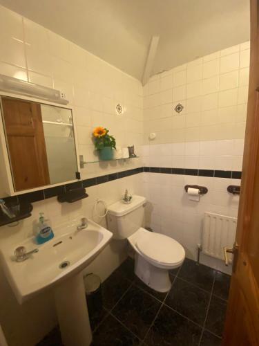 a bathroom with a white toilet and a sink at Cosy City Centre Guest Room Shared Home in Galway