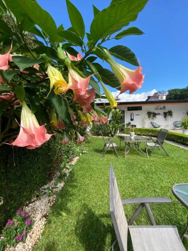 a garden with a bench and flowers at Berlor Airport Inn in Alajuela City