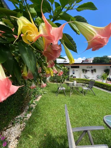 a garden with tables and chairs and flowers at Berlor Airport Inn in Alajuela City