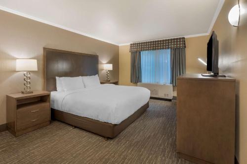 um quarto de hotel com uma cama e uma televisão de ecrã plano em Best Western Plus Chena River Lodge em Fairbanks