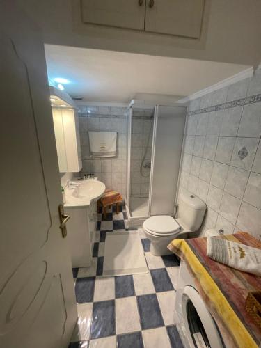 La salle de bains est pourvue de toilettes, d'un lavabo et d'une douche. dans l'établissement "Olympia" Apartment of Levidi Arcadian Apartments, à Levidhion
