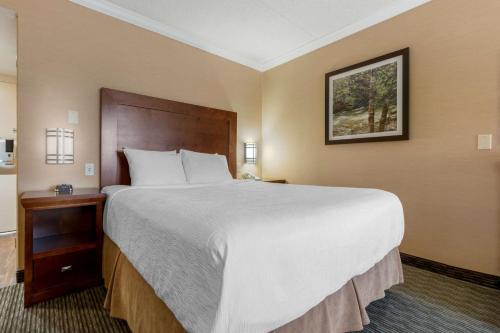 a hotel room with a large bed and a picture on the wall at Best Western Plus Dryden Hotel and Conference Centre in Dryden