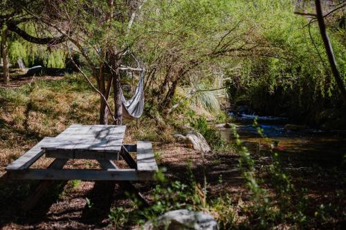 a picnic table with a swing in a forest at Piuquenes Lodge - Cabañas, Viñedos y estrellas en Horcón, Valle de Elqui in Horcon