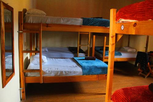 Tempat tidur susun dalam kamar di Volko Party Hostel
