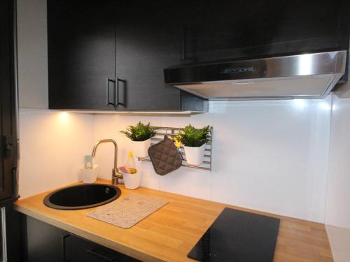 une cuisine avec un évier et un comptoir avec des plantes dans l'établissement LUCHON T2 RENOVÉ AVEC BALCON ET PARKING - FR-1-313-211, à Luchon