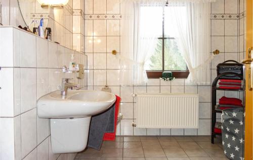 baño con lavabo y aseo y ventana en Pet Friendly Apartment In Bongard With Kitchen, en Bongard