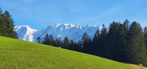 a green hill with snow capped mountains in the background at Grimmingblick Energiequelle in Bad Mitterndorf