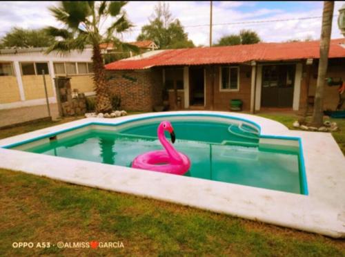 a swimming pool with a pink swan in it at Casa Ikal en San Juan del Rio con Alberca y Temazcal. in San Juan del Río
