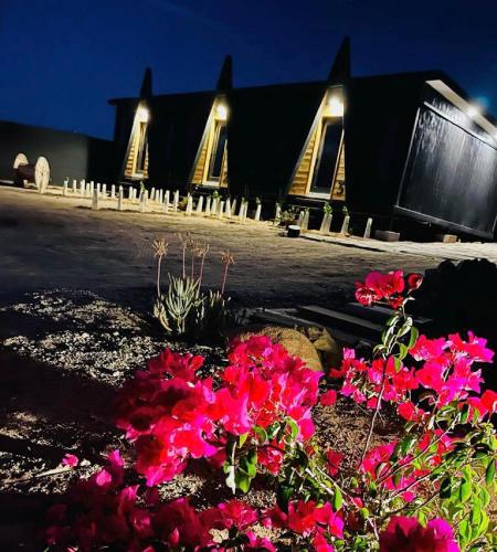 a group of pink flowers in front of a building at Finca Cazosa in Valle de Guadalupe