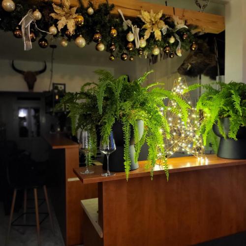a bar with potted plants on a counter at Apartment Villa Hřensko 132 in Hřensko