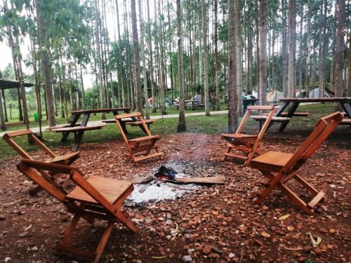 a group of picnic tables and chairs in the woods at Murchison Backpackers in Masindi