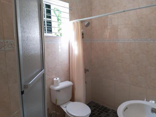 La salle de bains est pourvue de toilettes et d'un lavabo. dans l'établissement Valentine's Castle, à Saint Annʼs Bay