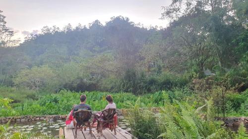 a man and woman sitting on a bridge with horses at Sinharaja Hostel in Deniyaya