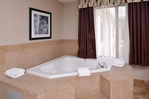 a bath tub in a bathroom with a window at Holiday Inn Express Hotel & Suites Youngstown - North Lima/Boardman, an IHG Hotel in North Lima