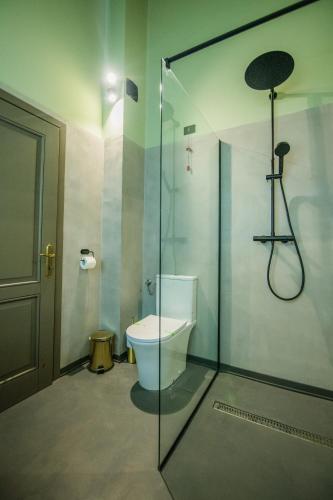 a bathroom with a glass shower with a toilet at Pensiunea Casa Buna in Gîrbova
