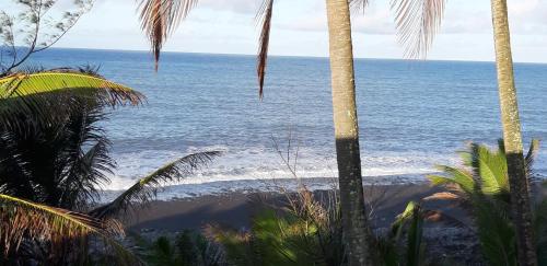 a view of the ocean from a beach with palm trees at Ti case bord de mer in Saint-Benoît