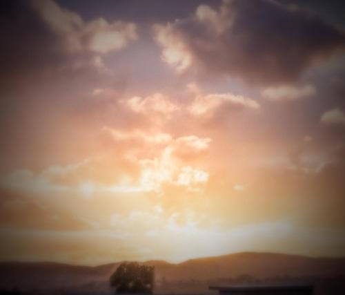 a cloudy sky with a tree in the foreground at Finca Cazosa in Valle de Guadalupe