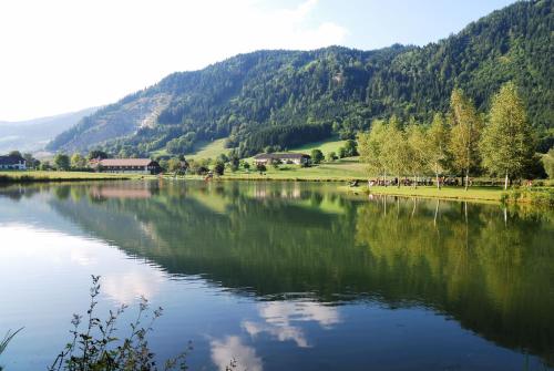 a view of a lake with mountains in the background at Ferien am Talhof in Sankt Urban