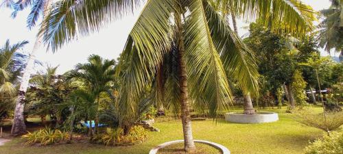 a palm tree in the middle of a park at Bat Tree Cottages in Agoho
