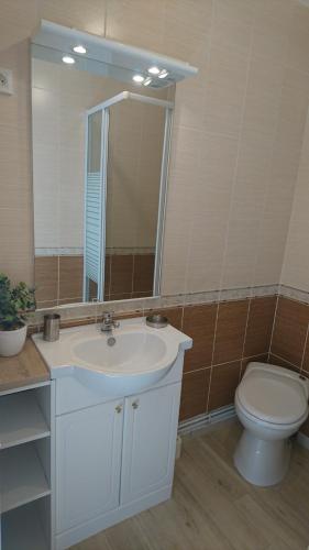 ein Badezimmer mit einem Waschbecken, einem WC und einem Spiegel in der Unterkunft Adorable guest house with piscine in Lempaut