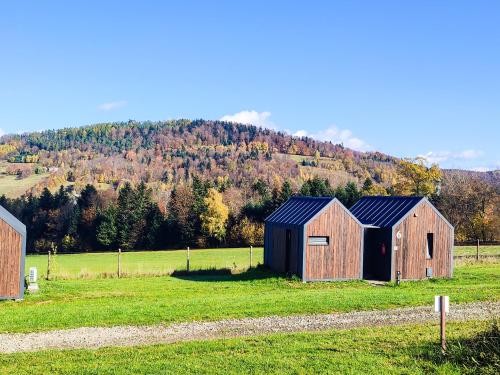 a couple of barns in a field with a mountain at Klimkówka Pod Gwiazdami - sauna, jacuzzi, basen in Klimkówka