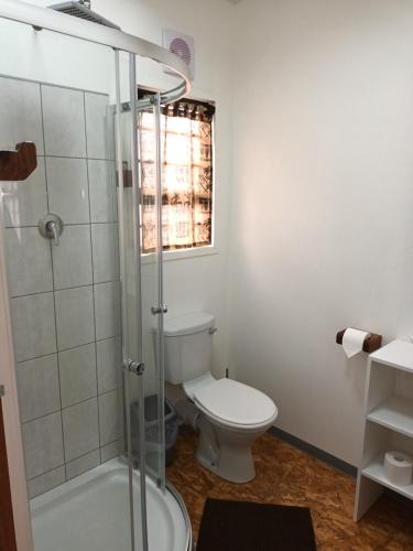 a bathroom with a toilet and a glass shower at Chameleon Lodge in Cannonvale