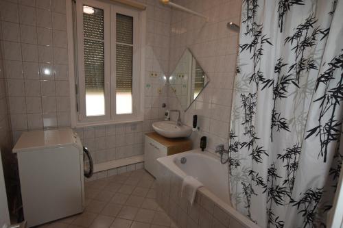 a bathroom with a tub and a sink and a shower curtain at Wasen Apartment in Stuttgart