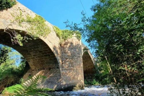 an old brick bridge over a river with trees at Casa de pueblo con merendero y chimenea. in Viguera
