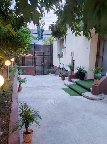 a courtyard with potted plants and a fence at Ambiennt in Bucharest