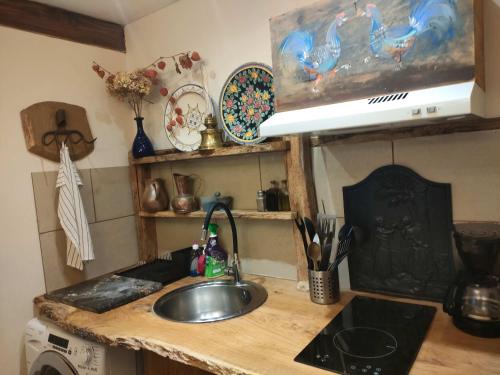 a kitchen counter with a sink and a microwave at Les Muzards in Châtel-Montagne