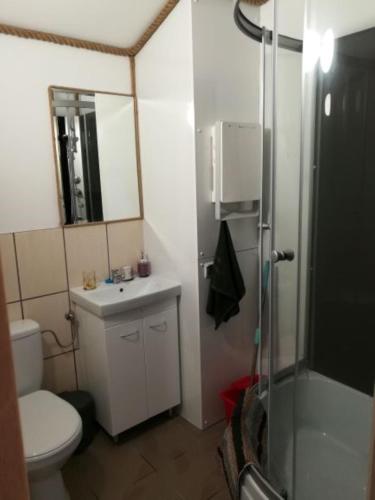 a bathroom with a toilet and a sink and a shower at Dolina Rosy in Ustrzyki Dolne