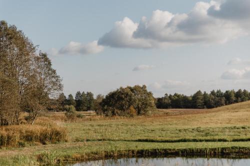 a field with a pond in the middle of a field at ALANTOS ŽIRGAI Holiday Villas sauna or hottube additional price in Alanta