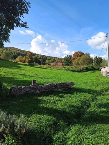 a log laying on the grass in a field at Dolina Rosy in Ustrzyki Dolne