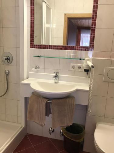 een badkamer met een wastafel en een spiegel bij Alpenrose Tux in Tux