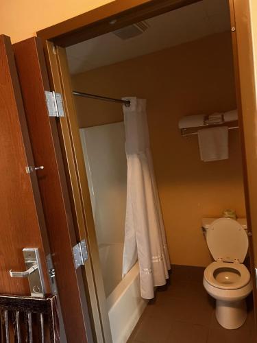 La salle de bains est pourvue de toilettes et d'un rideau de douche. dans l'établissement Ambridge Inn, à Ambridge