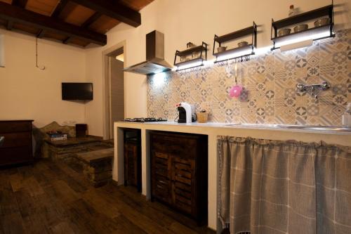 una cocina con fregadero y encimera en Rifugio La Foresta, en Montioni Allumiera